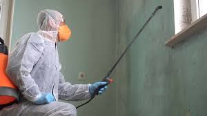 Why You Should Choose Our Mold Remediation Services in Carlisle, PA